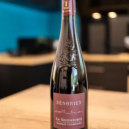 Dom wakacyjny La Seigneurie -piscine & *